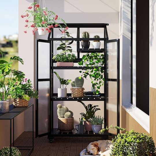 62-inch Portable Cold Frame,Wood Large Greenhouse, with Wheels and Adjustable Shelves for Outdoor and Indoor Use, Black